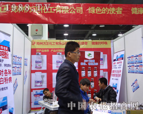 ���ݷ��������ںӱ�ʡֲ��������������