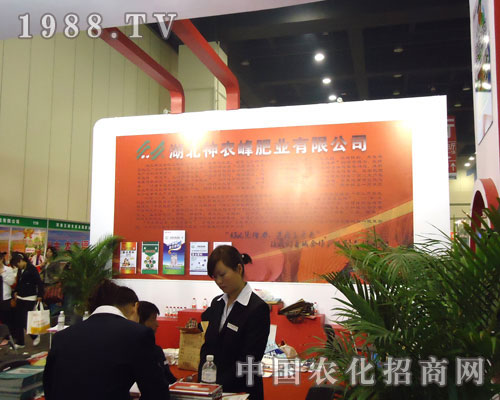 �ӱ����r(n��ng)��ʘI(y��)�����ݷ����p����¡��������