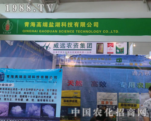 �ຣ�߶��}���½��r(n��ng)�Y��(hu��)�V��(xi��)�x��ƪ��