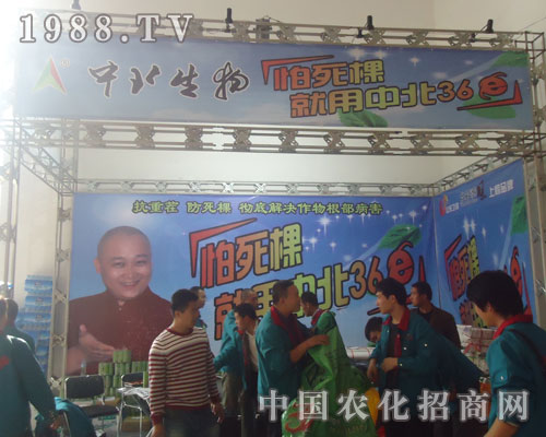 �������������б�36E