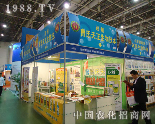 ���ݲ������������Ч���� ������