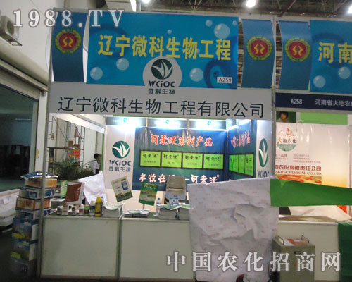 �B�T�r(n��ng)ˎе�����|��΢�����ﲻؓ����