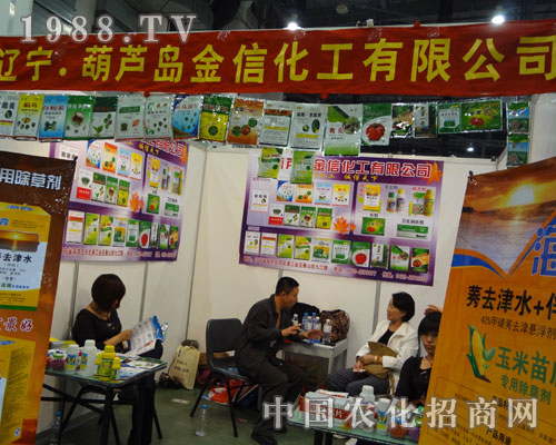 ���|�����J�u���Ż������Ї�ֲ���p����չ�L(f��ng)��