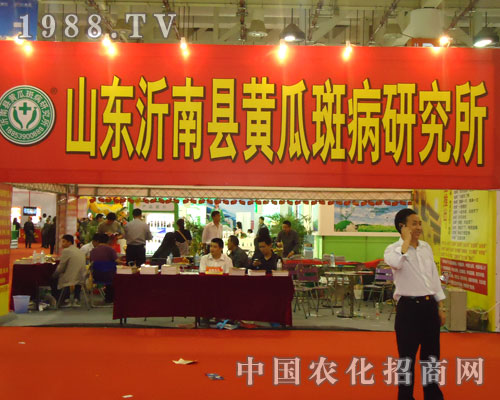 ɽ�|���Ͽh�S�ϰ߲��о����F(xi��n)��B�T�rˎ��