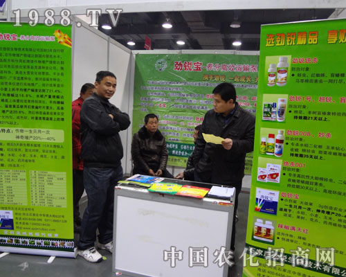 ʯ���f���J��˾ǰ������ԃ��(j��ng)�N�̽j�[���^