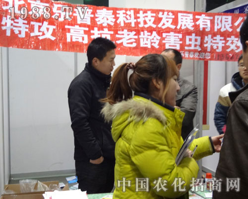 ��������̩�ӱ�ʡ��24��ֲ������������A