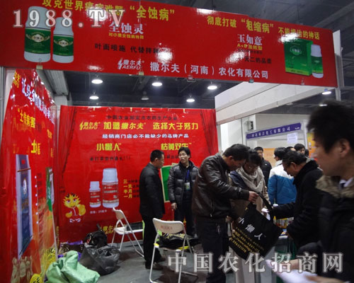 ������ ׌��(j��ng)�N��ٍ����e���p�ǣ�