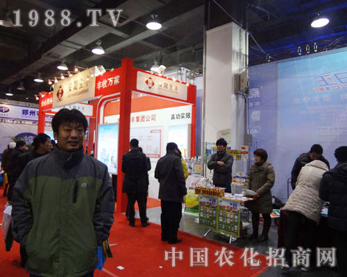 ���(y��ng)ȫ�S¡�ؼ���ʯ���fֲ����(hu��)�����(du��)��