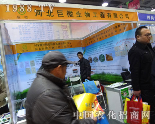 ��΢����