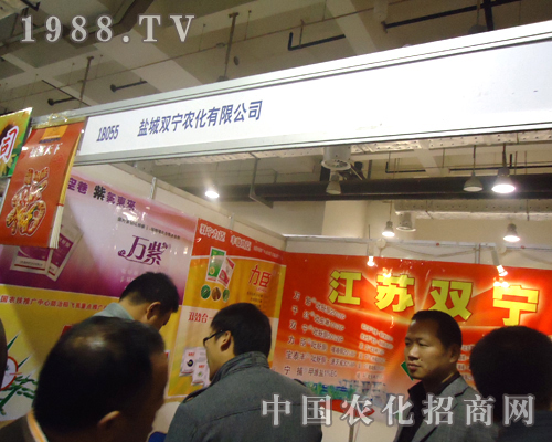 ���K�p�������̶������������v�w����