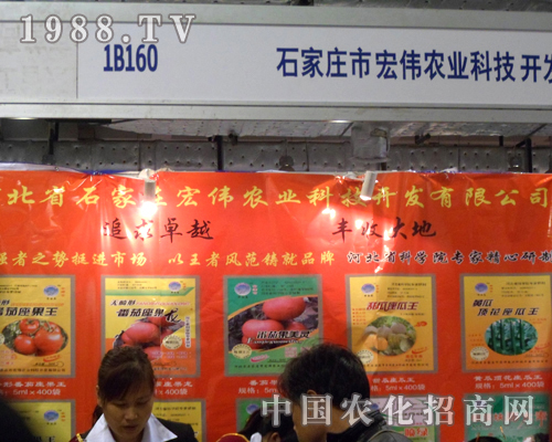 ʯ���f�ꂥ�r(n��ng)�I(y��)�ڝ�(j��)��ֲ������ȡ���x�ͳɿ�