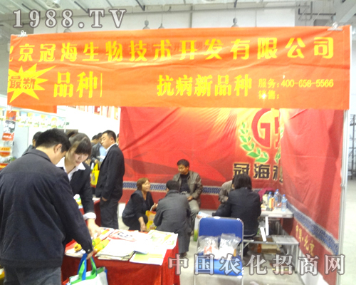 �ں������չ2012����ֲ���p����