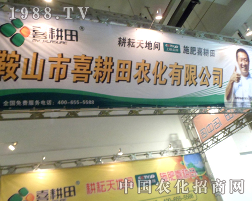 18��ɽ�|ֲ���p������ϲ�����ل�(chu��ng)�ѿ�