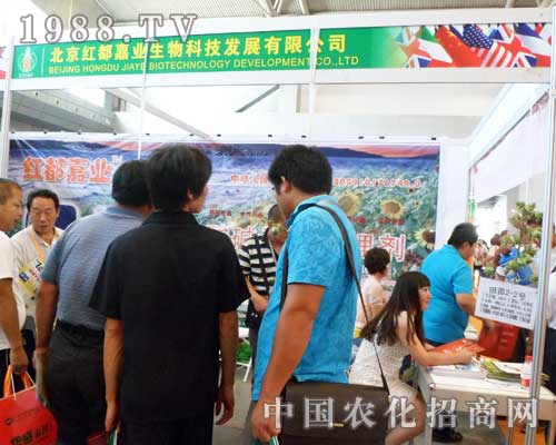 北京紅都嘉業(yè)12屆新疆農(nóng)博會上展位前招商不斷