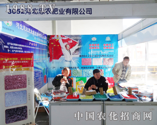 �ӱ����r�ʘI(y��)���ĮaƷչʾ��2013�|�����ϕ�