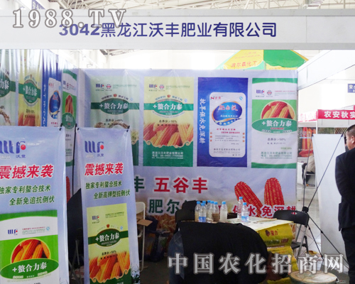 ���������S�ʘI(y��)�𺳳���2013���ַ��ϕ�(hu��)