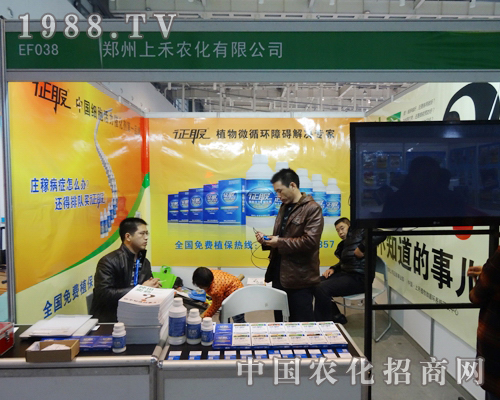 �Ϻ��r(n��ng)�����@�ε�29��ֲ���p����(hu��)�нK���ԗ�