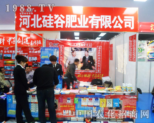 ��ȷʘI(y��)��2013�����ð��շ��ϕ�(hu��)����������