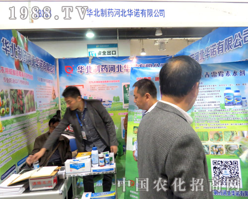 2015ɽ�|ֲ���� �A�Z�W���ǈ�