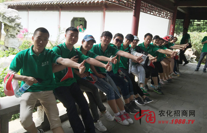 游泰山——與堅持同行