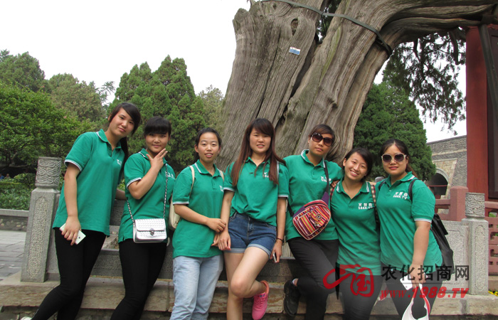 攀爬泰山的九個感悟