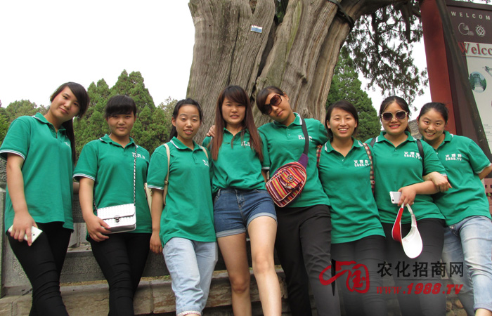 泰山之旅——堅(jiān)持就是勝利