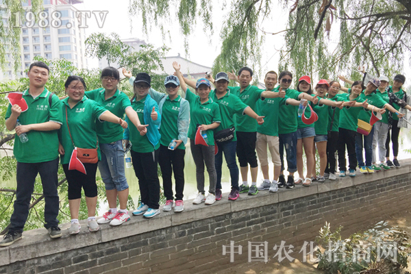 ȫ���Ը��� �����Լ�