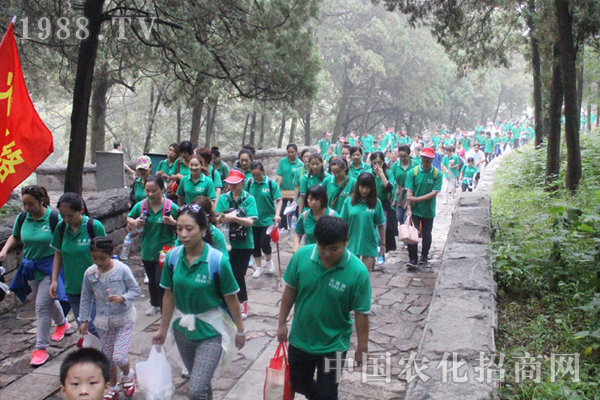 ��8�����ҵ�8��