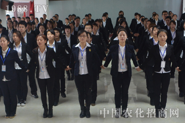 �F�ڲ�����������������