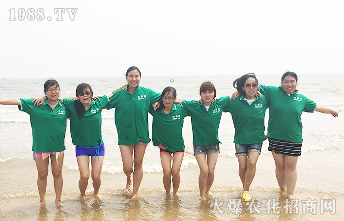 �������������һ��