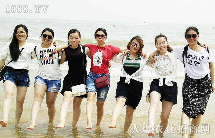     �B�Ƹ����������ܴ󺣵��|�