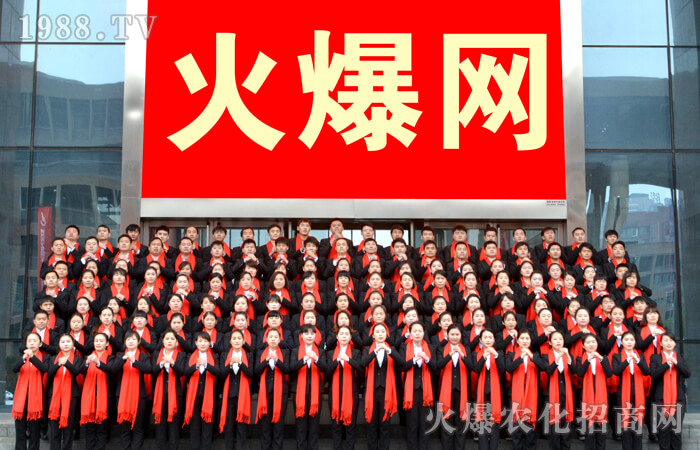 ����2016����2017��