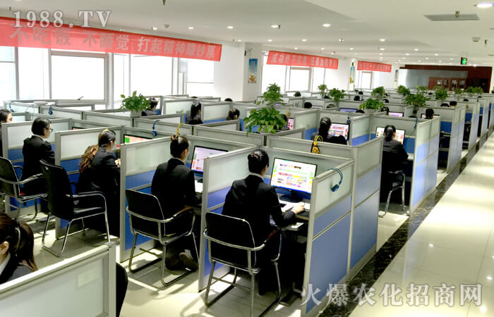 ����2016����2017��