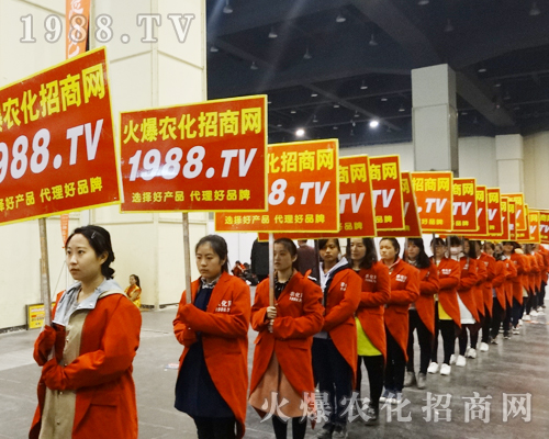     2017����ԭ���ϕ���1988.TV�����������ݲ��ɓ�