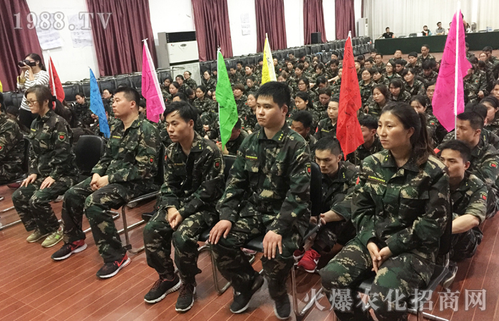 ��չӖ(x��n)������