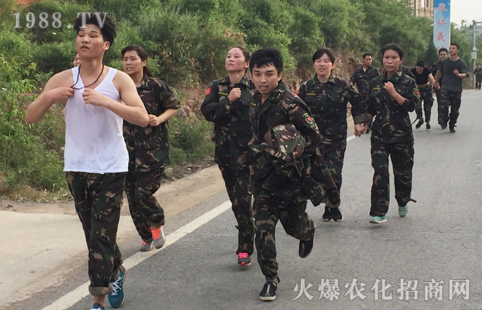 一場別開生面的旅程