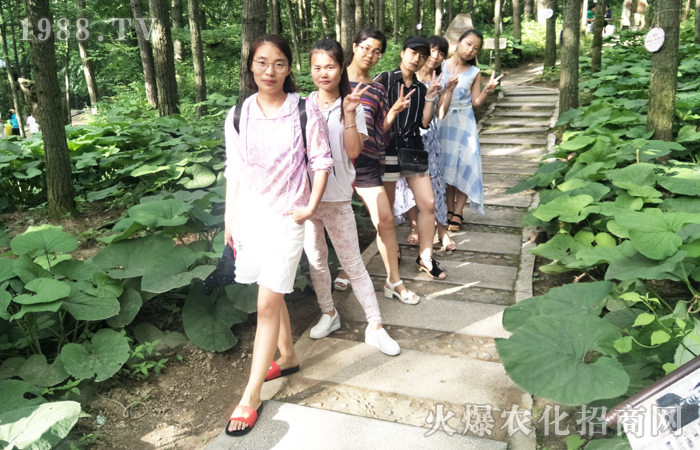 ��ꖰ���ɽ�������ƺ�֮�ϵĉ���