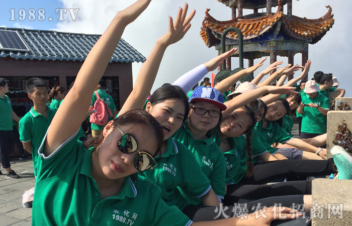 ����������w�P(y��ng)