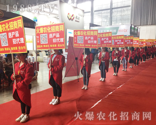 �o̎�����r(n��ng)���W(w��ng)���M�۱M�ǻ𱬼t��