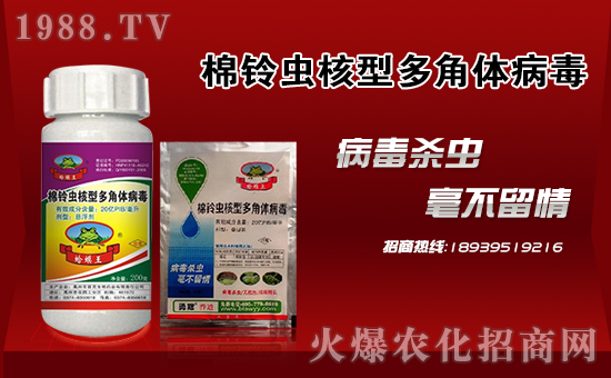 ���¹چ̵ϡ�ף������µ�һ�����f������������󼪣�