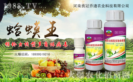 ���¹چ̵ϡ�ף������µ�һ�����f�����⣬�������