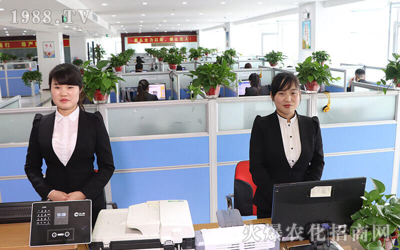 ���Ƶ��裬��������һƬ��(sh��)�~