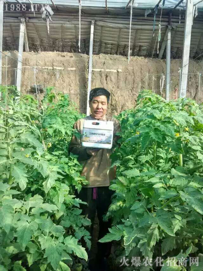 ���̼���