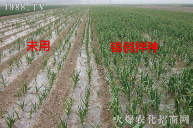 �Ϻ��Խ�r(n��ng)�I(y��)�Ƽ����޹�˾