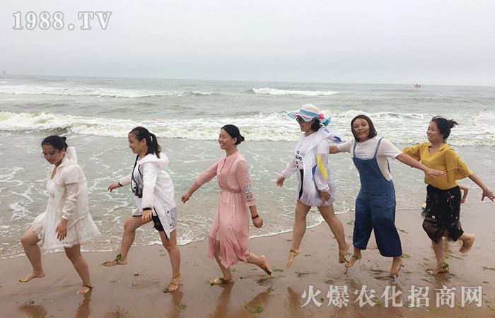 ����ȥ��������΢Ц��������������������𱬾W(w��ng)�o����һ�ӵ�����