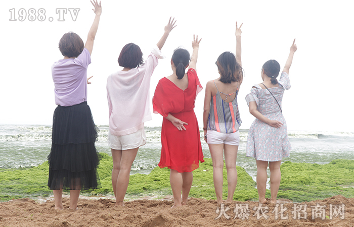 ����һƬ������������҂����_ӡ