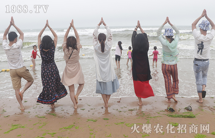 �L(f��ng)ƽ���o�ı�������(sh��)�t������ӿ