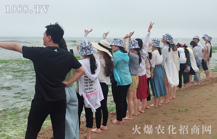 ε�{(l��n)�������������u