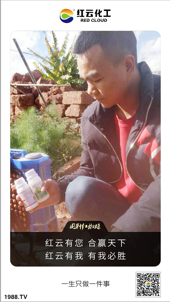 ���t�ƻ�����ף���ٸ��R�T�����������������´���