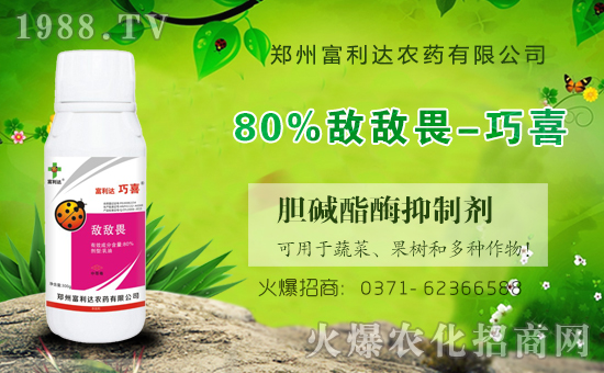 �������_(d��)��ףȫ��(gu��)�������µ�һ���﹤�����������������